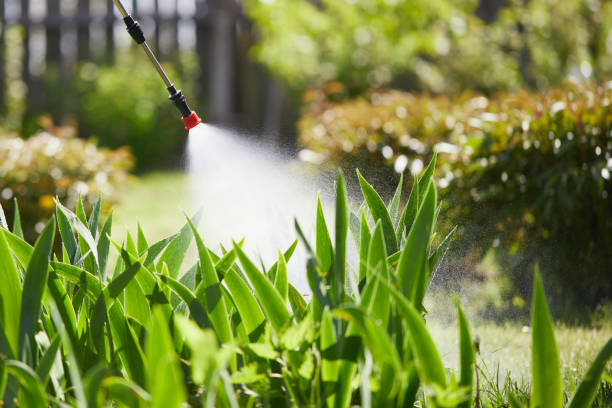 24/7 Emergency Ant Control experts in Decatur, MI