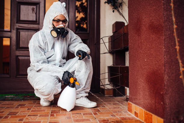Reliable Ant Control contractor in Decatur, MI by Show Me Pest Control